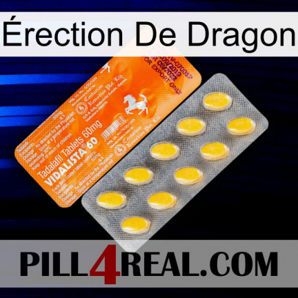 Érection De Dragon new05